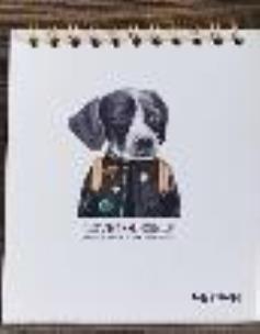 Opakowanie Notes szkicownik B5 Pies