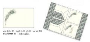 Opakowanie Papeteria Wallet PLM003W