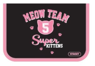 Okładka książki Piórnik 2-klapkowy z wyposażeniem Meow STREET