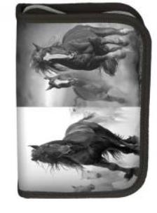 Opakowanie Piórnik Horse 17-001HO/B PASO