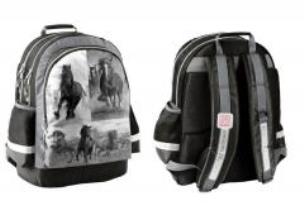 Opakowanie Plecak szkolny Horse 17-116HO PASO