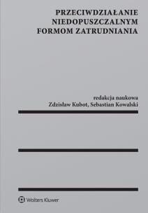 Okładka książki Przeciwdziałanie niedopuszczalnym formom zatrudniania