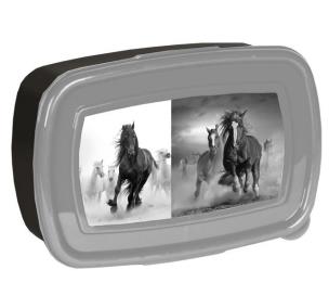 Opakowanie Śniadaniówka 17-3022HO