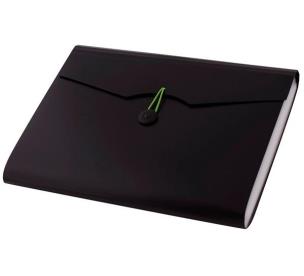 Opakowanie Teczka A4 12 przegródek czarna D.RECT