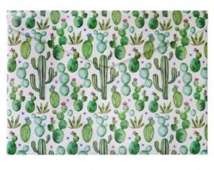 Opakowanie Teczka A4 Kaktus