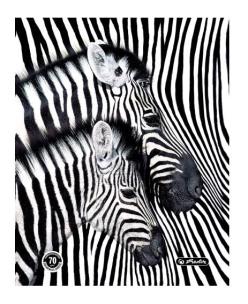 Opakowanie Teczka rys. A4 z gumką Black&White 9574807