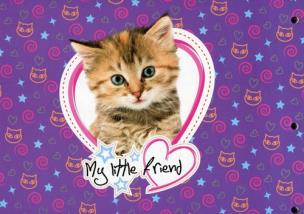 Opakowanie Teczka z rączką A4 XL My Little Friend Cabi