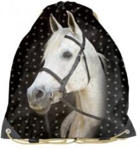 Opakowanie Worek na buty 18-712HS