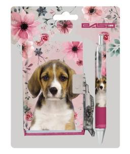 Opakowanie Zestaw Pamiętnik z długopisem 18-3643PS