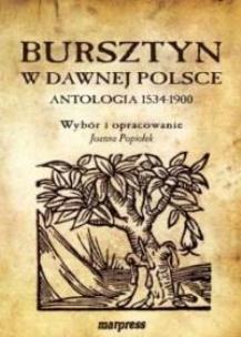 Okładka książki Bursztyn w dawnej Polsce. Antologia 1534-1900