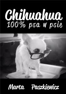 Okładka książki Chihuahua 100% psa w psie