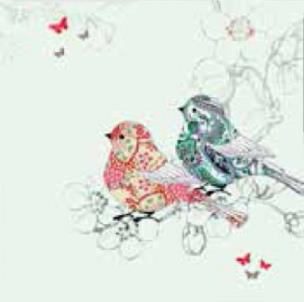 Opakowanie Karnet Swarovski kwadrat CL0504 Ptaszki