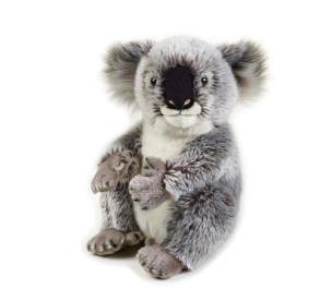 Opakowanie Koala