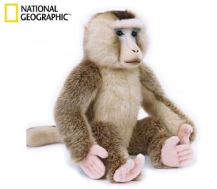 Opakowanie Makak orientalny