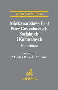 Okładka książki Międzynarodowy Pakt Praw Gospodarczych...