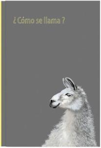 Opakowanie Notes Gee Llama 13,5x19,5 NARCISSUS