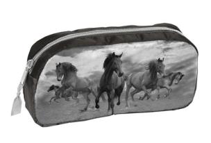 Okładka książki Piórnik 17-004HO