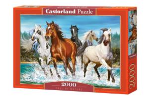 Puzzle 2000 Call of Nature CASTOR. Wydawca: Castorland. Multiszop.pl Opakowanie Puzzle 2000 Call of Nature CASTOR
