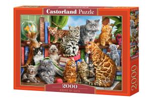 Puzzle 2000 House of Cats. Wydawca: Castorland. Multiszop.pl Opakowanie Puzzle 2000 House of Cats
