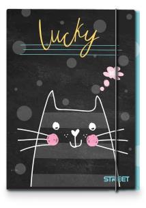 Okładka książki Street Teczka z Gumką My Cat A4 1cm
