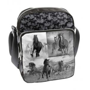 Okładka książki Torba na ramię 17-108HO