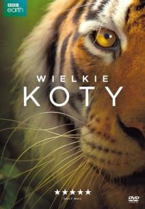 Opakowanie Wielkie koty