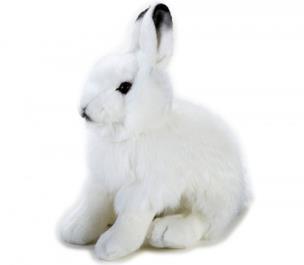 Opakowanie Zając polarny