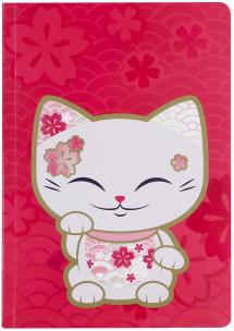 Opakowanie NOTES B6 LINIA CAT CZERWONY MS005