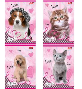 Opakowanie ZESZYT A5 16K MY LITTLE FRIEND KRATKA 32844