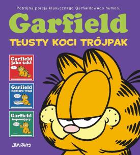 Okładka książki Garfield jako taki