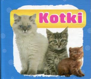 Okładka książki Kotki harmonijka mała