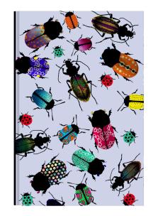 Opakowanie Notes Narcissus Gee Bugs