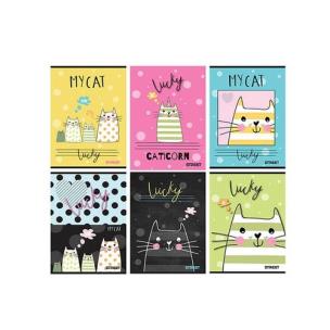 Opakowanie Zeszyt Street My Cat A5 w kratkę 54 kartki 10 sztuk