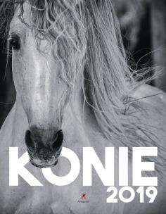 Opakowanie Kalendarz zdzierak Artsezon KALENDARZ