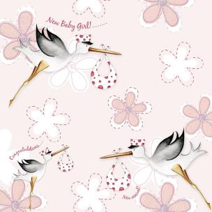 Opakowanie Karnet Swarovski kwadrat PF11 Narodziny bociany