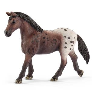 Opakowanie Klacz rasy Appaloosa