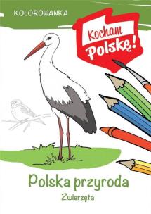 Okładka książki Kolorowanka. Polska przyroda- zwierzęta