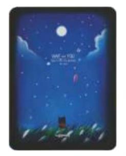 Opakowanie Notes A6/128K Noc Kot w Trawie