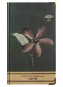 Opakowanie Notes H5/96K Hibiskus