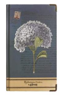 Opakowanie Notes H5/96K Hortensja