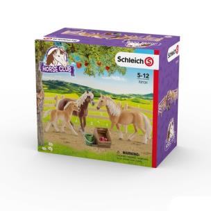 Opakowanie Rodziny rasy haflinger w zagrodzie