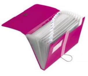 Opakowanie Teczka rozkładana A4 PP 12cz. Malinowa