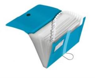 Opakowanie Teczka rozkładana A4 PP 12cz. transp Niebieska