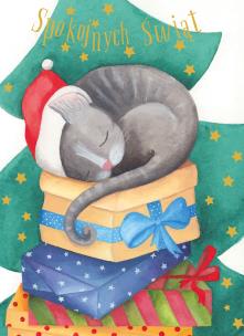 Opakowanie Karnet B6 Boże Narodzenie - Kocur (10szt)