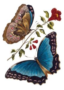 Opakowanie Karnet B6 z kopertą Azure Blue Butterfly