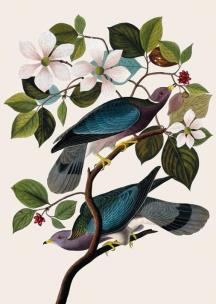 Opakowanie Karnet B6 z kopertą Two Birds