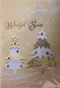 Opakowanie Karnet Boże Narodzenie B6 Premium 16 + koperta