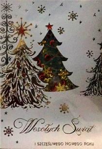 Opakowanie Karnet Boże Narodzenie B6 Premium 22 + koperta