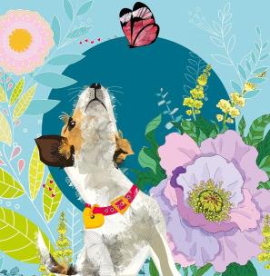 Opakowanie Karnet Swarovski kwadrat CL0713 Pies