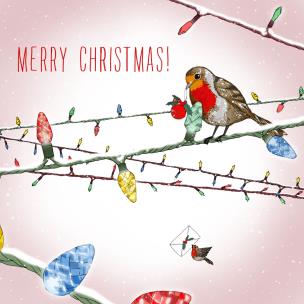 Opakowanie Karnet Swarovski kwadrat CL2306 Święta Ptaszek